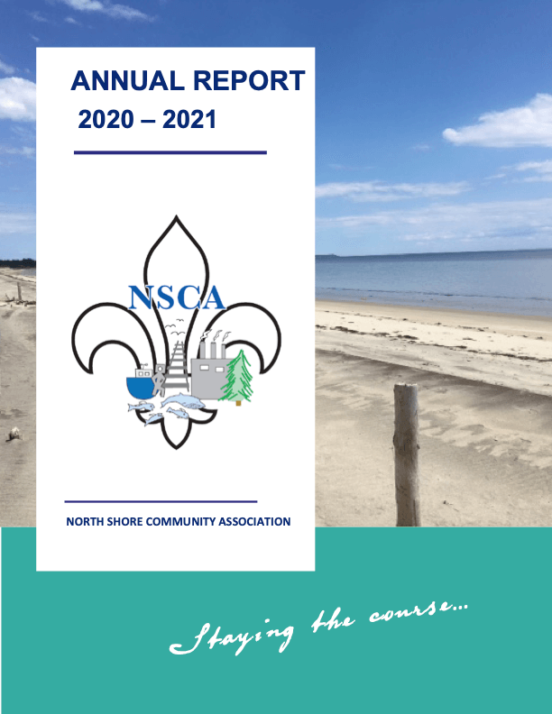 Annual Report 2020 - 2021 - NSCA